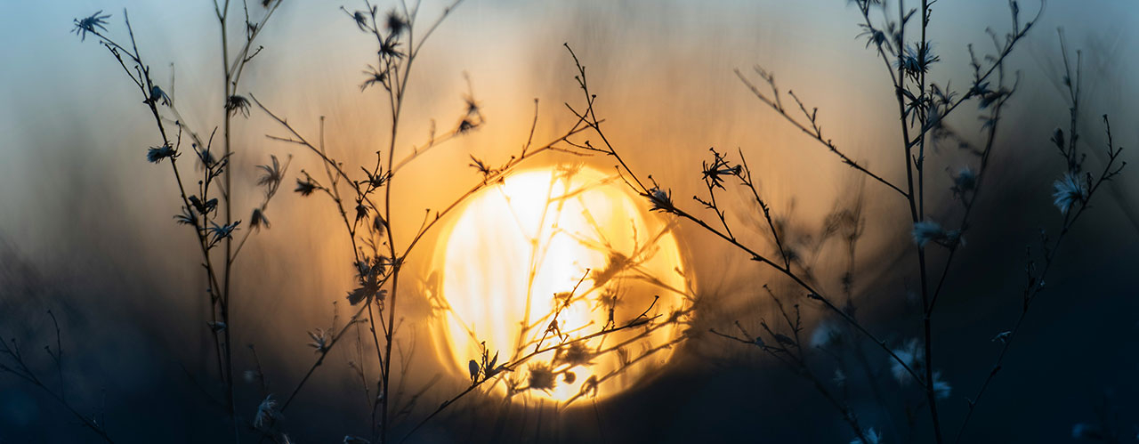 ¿Te pesa el lunes? Aprende a combatir el Blue Monday