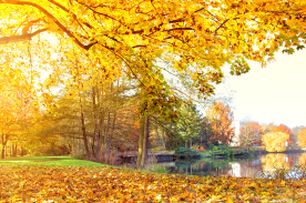 Otoño