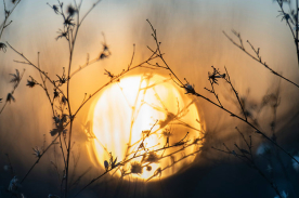 ¿Te pesa el lunes? Aprende a combatir el Blue Monday